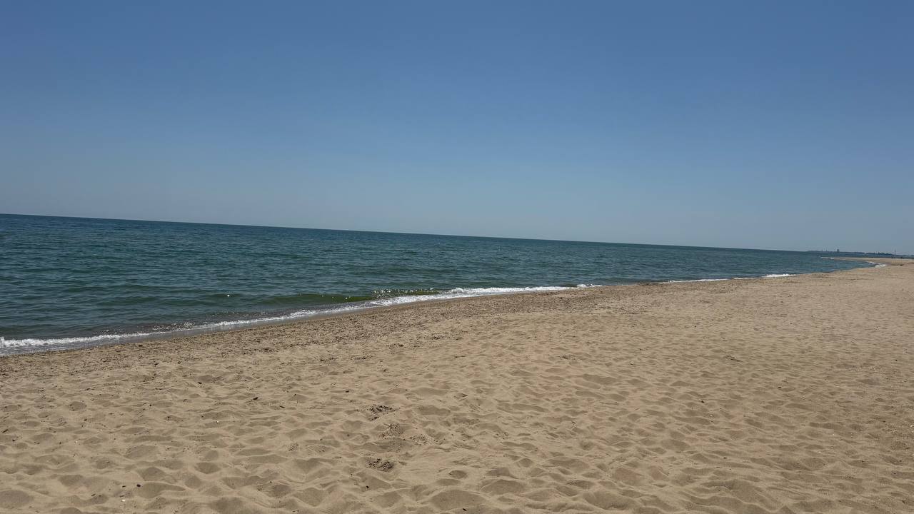 Номер з зеленими стінами
